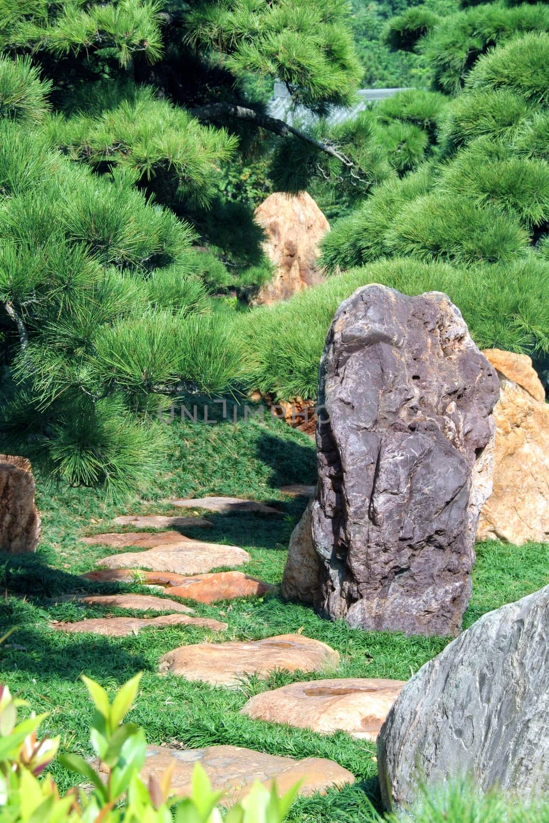 Zen garden