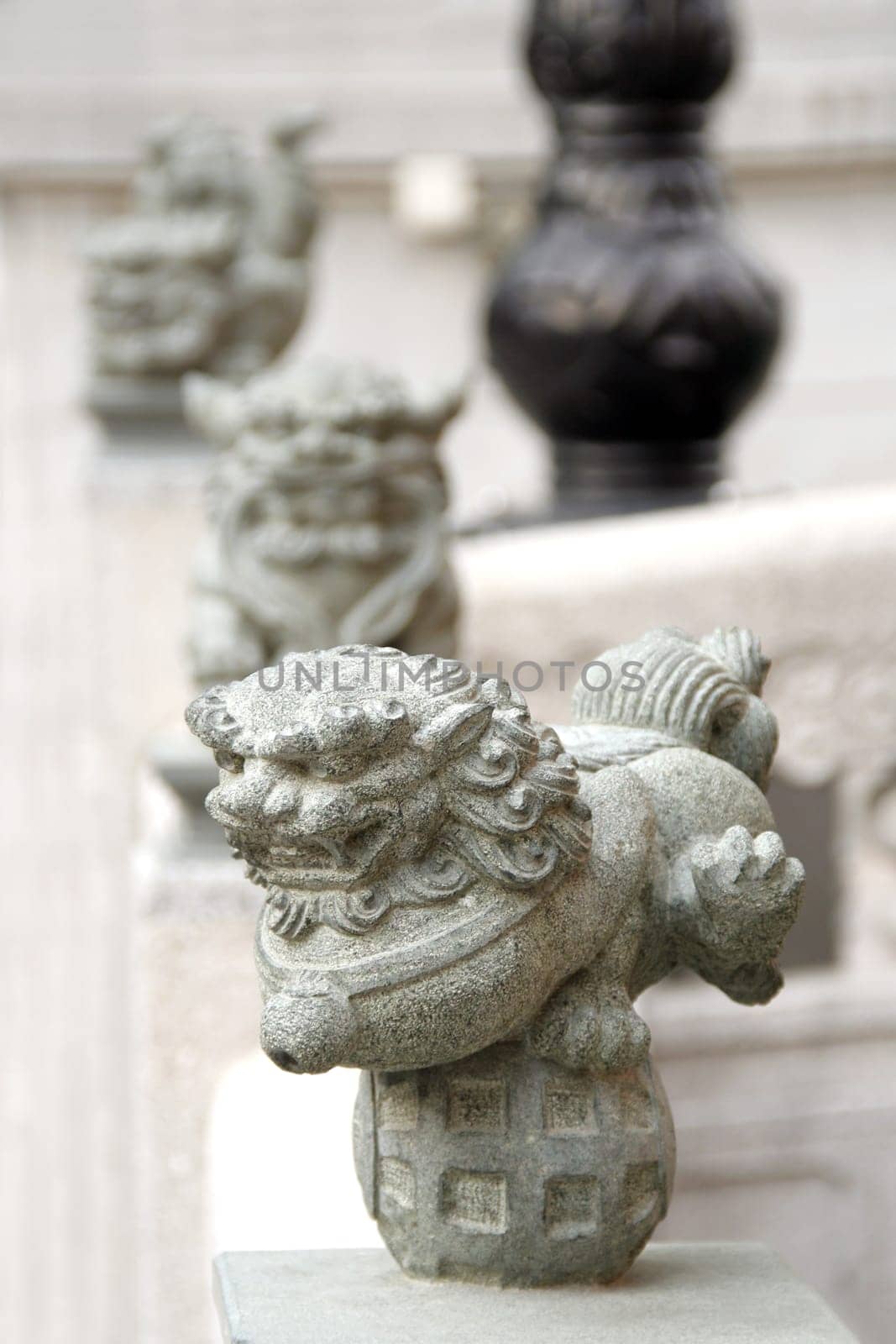 Oriental stone lions