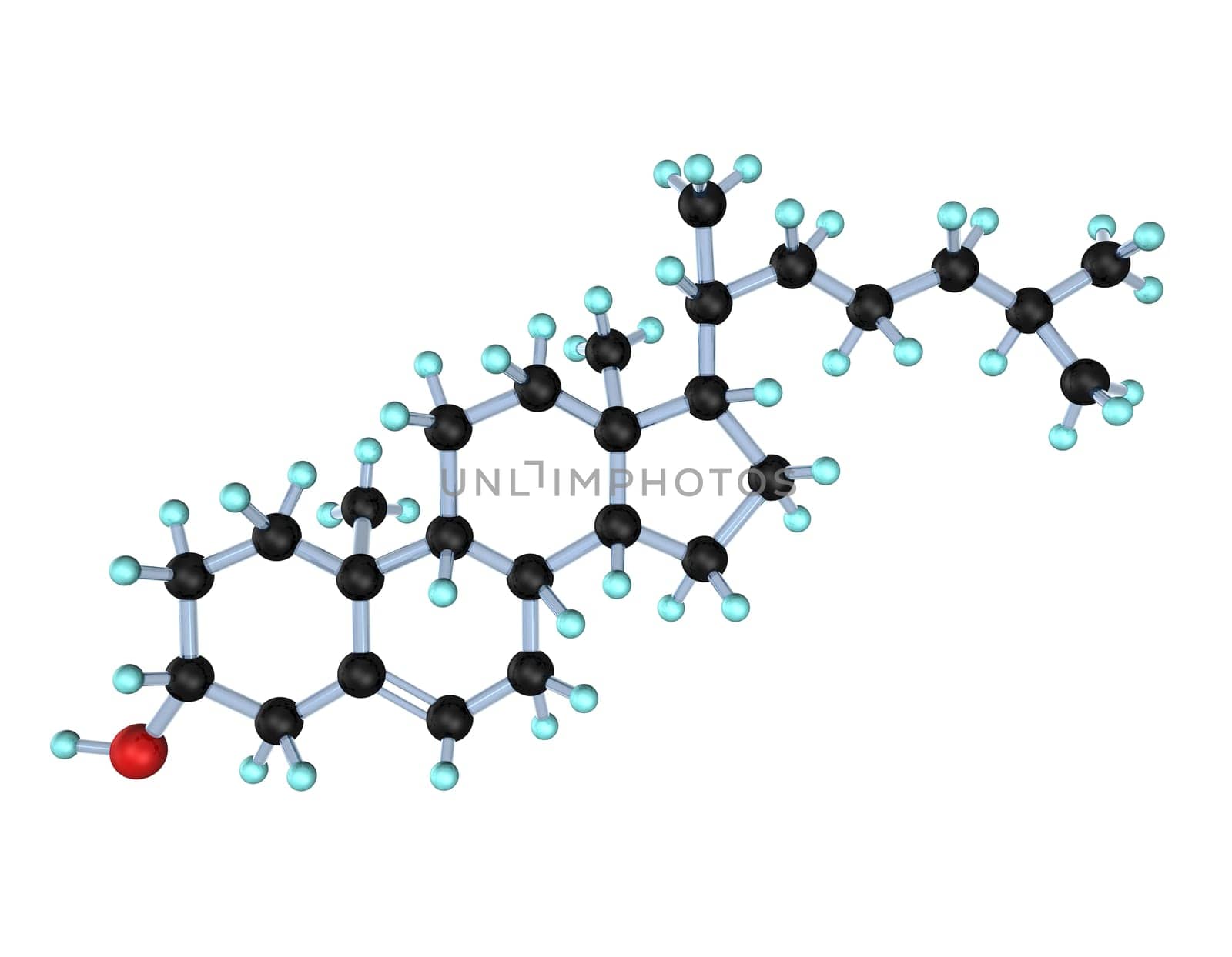 3D Cholesterol Molecule