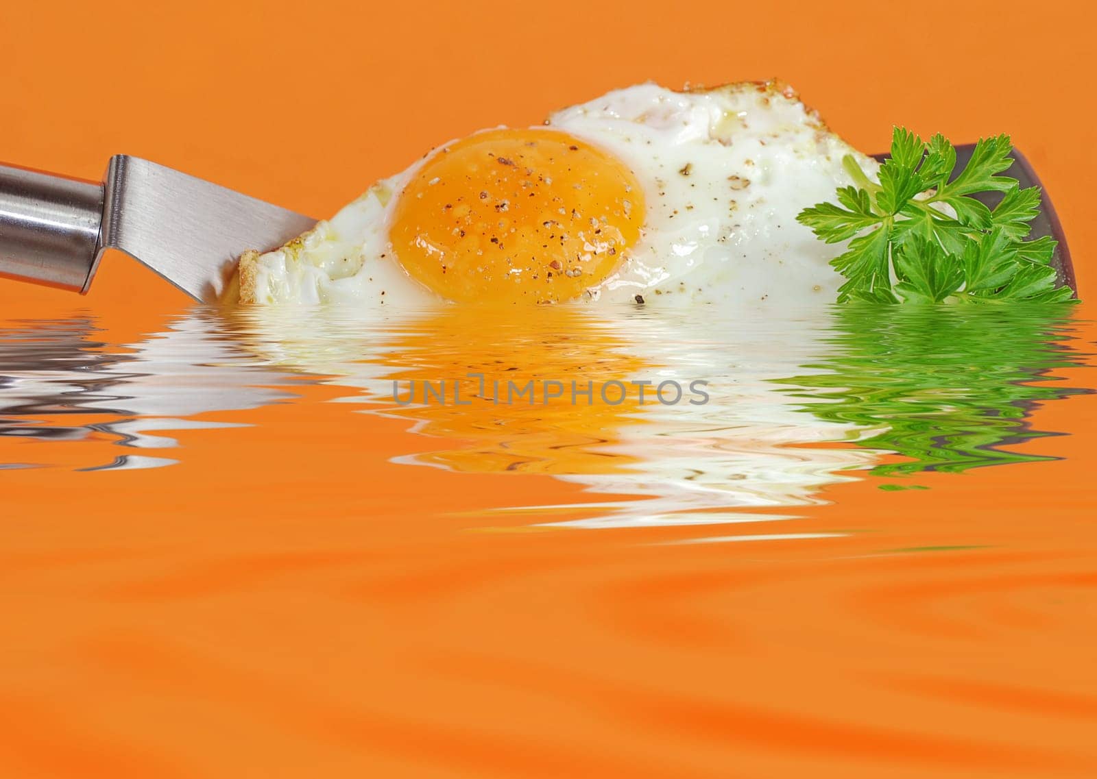 Fried egg