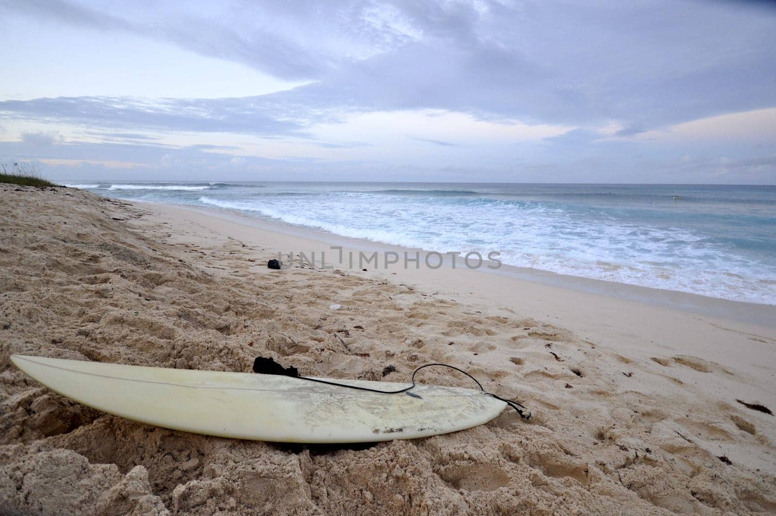 surfers beach