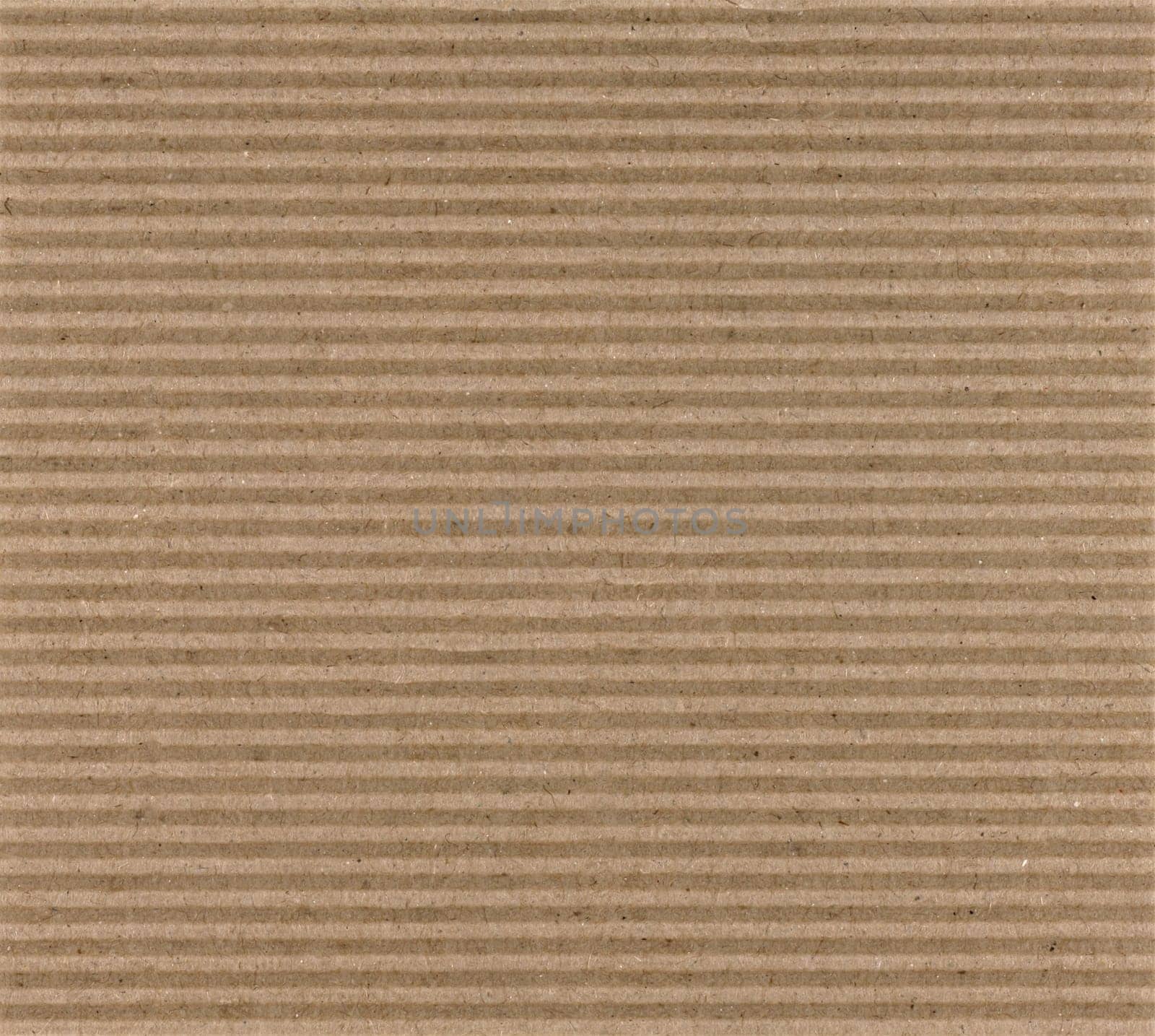 Cardboard