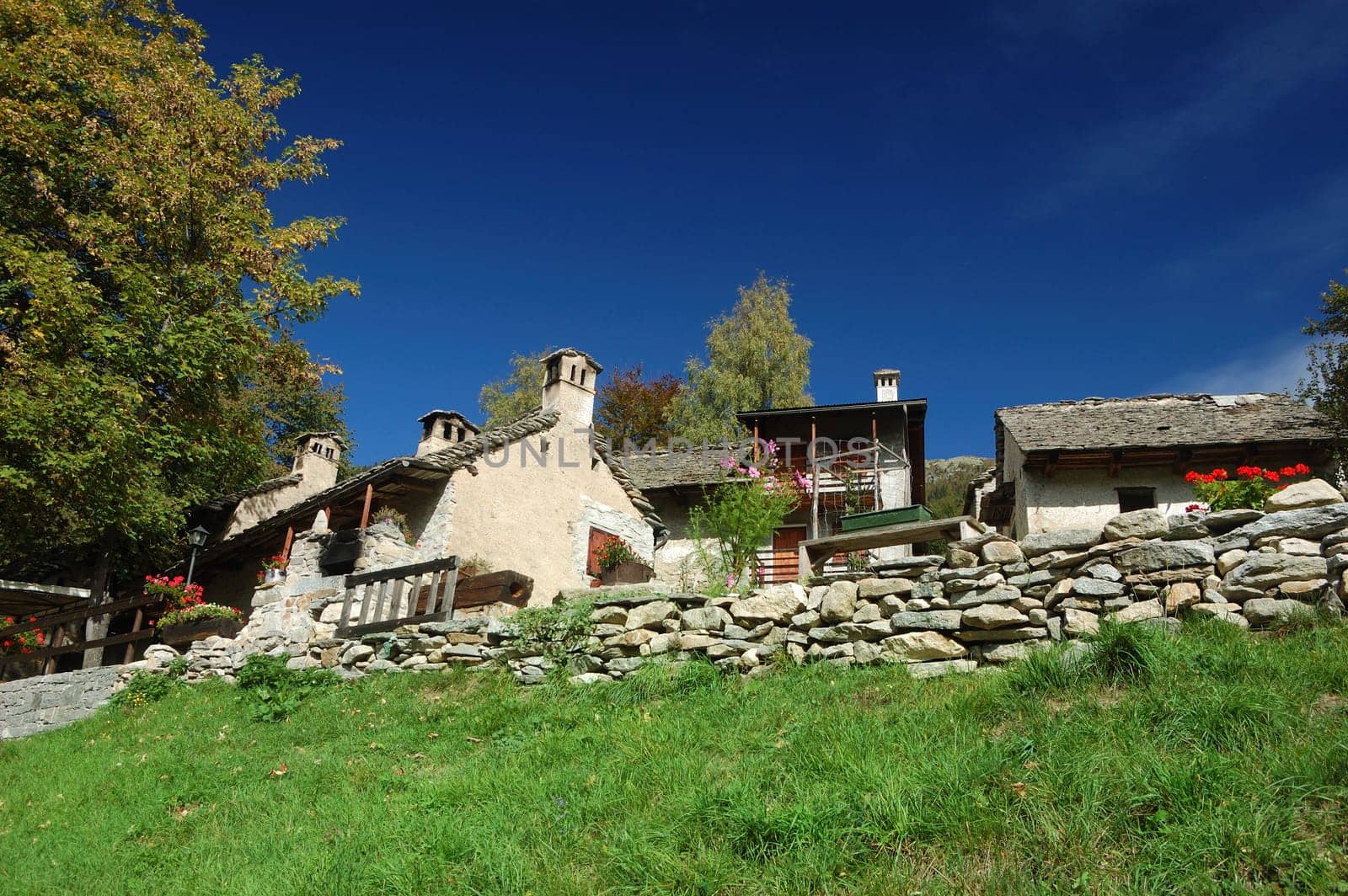 Alpine Village