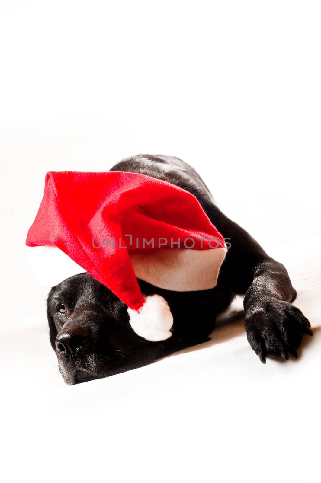 I wish you all a Merry Christmas and a Happy New Year.