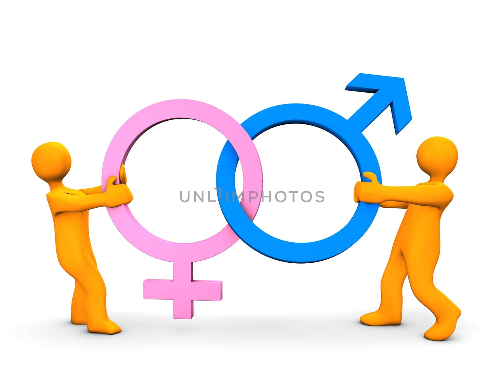 Battle of the sexes