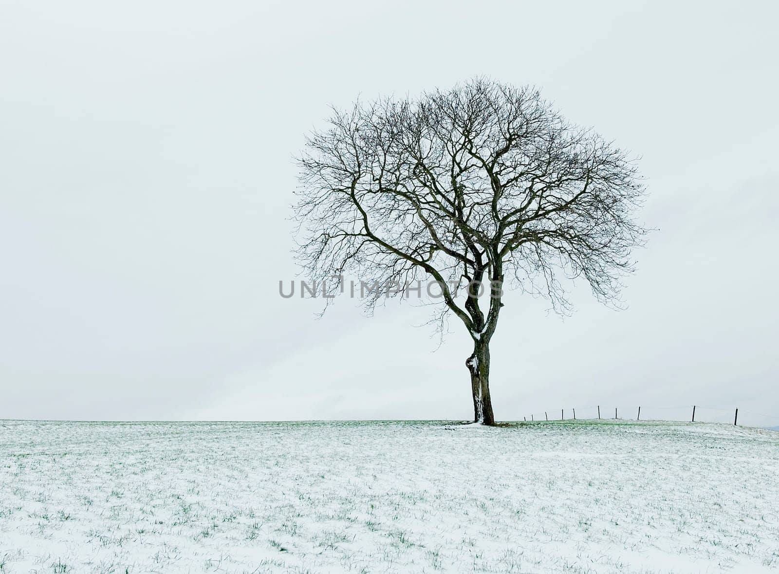Wintertime