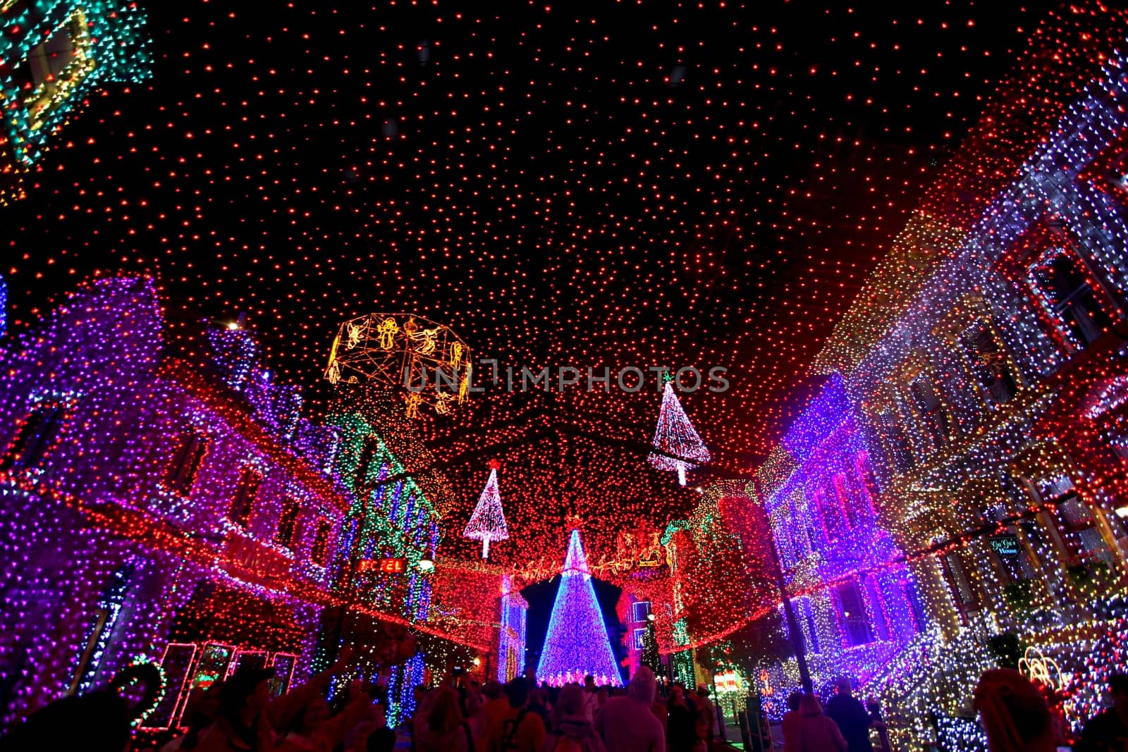 Christmas Lights