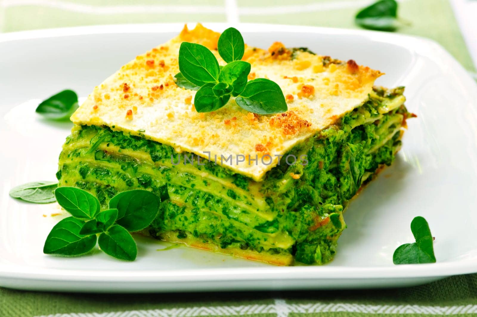Plate of vegeterian lasagna