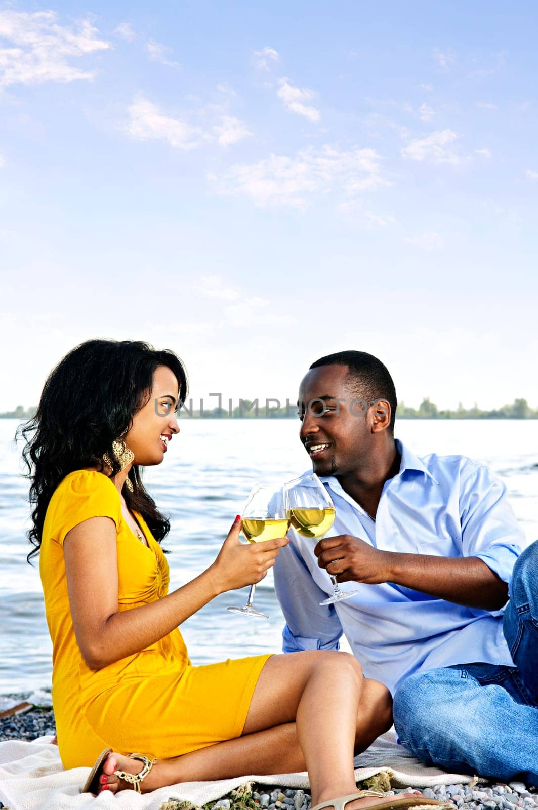 Happy couple having wine on beach