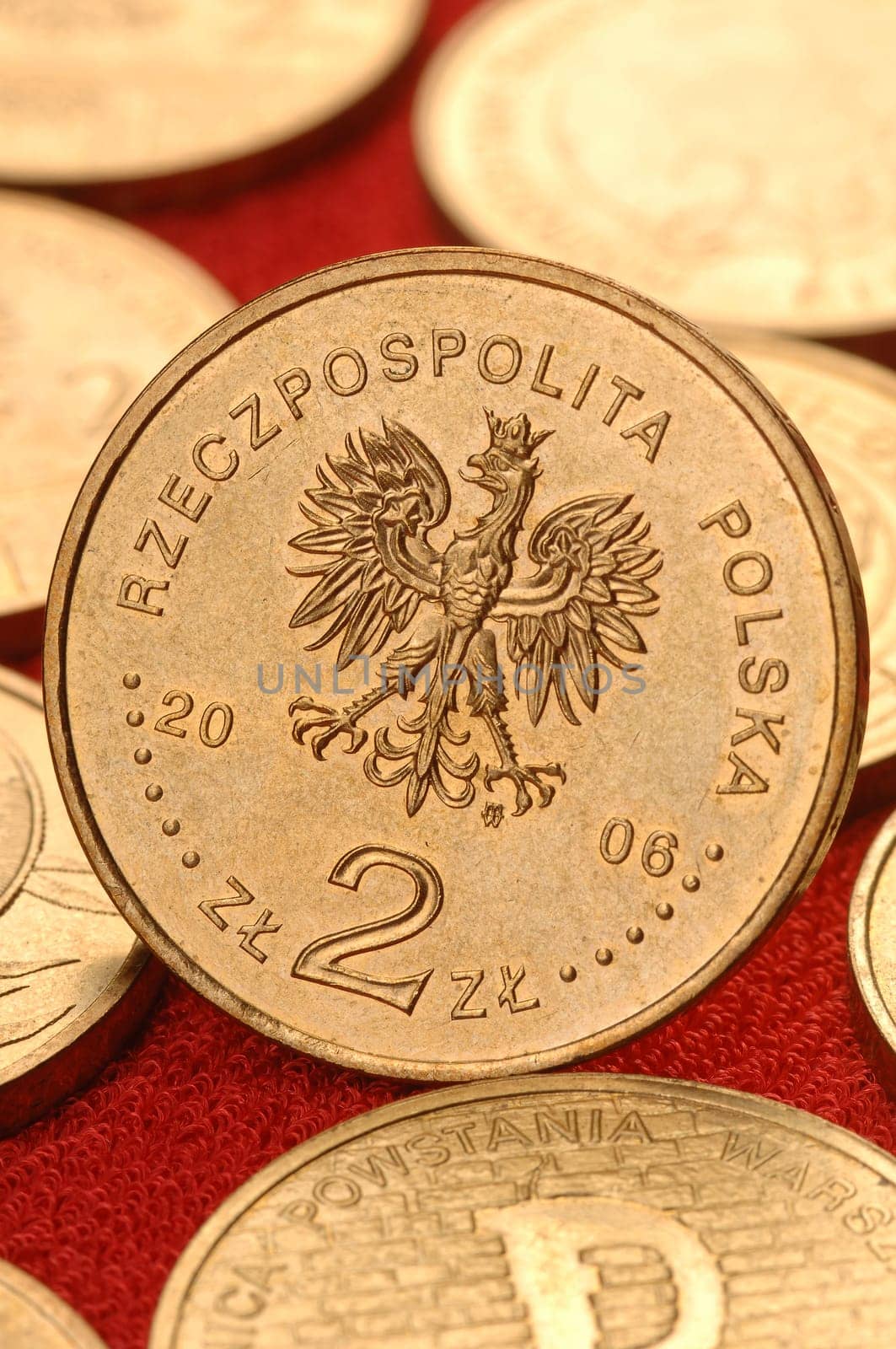 polish money