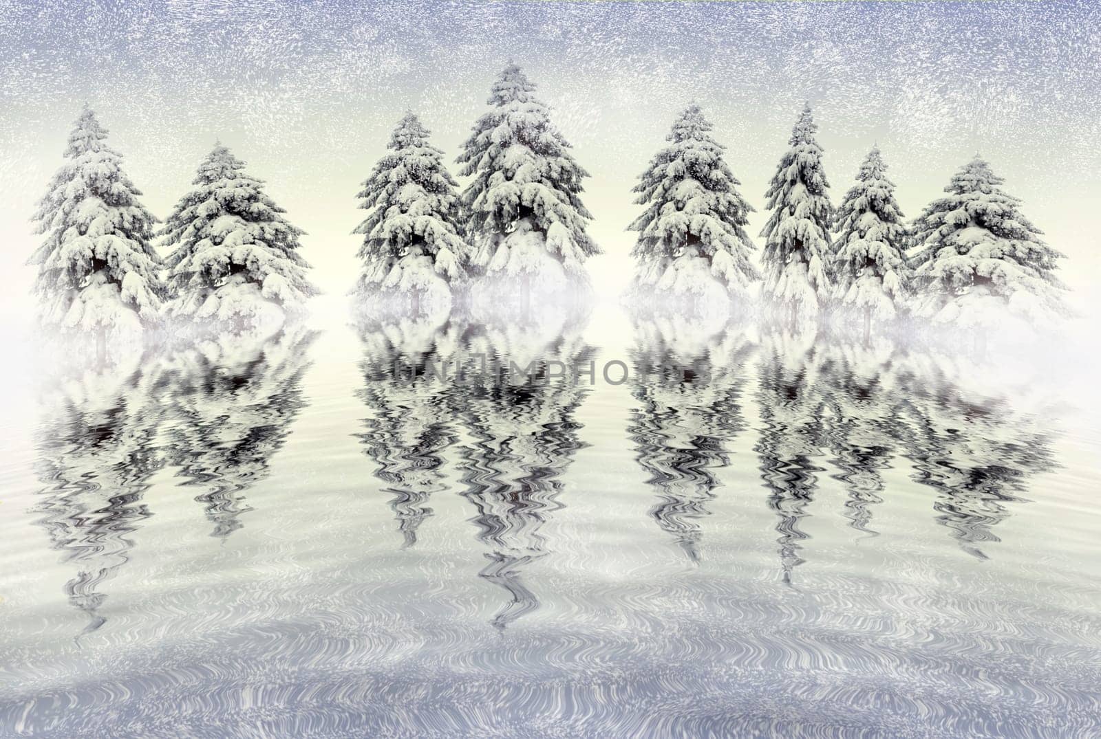 Pine trees on hill