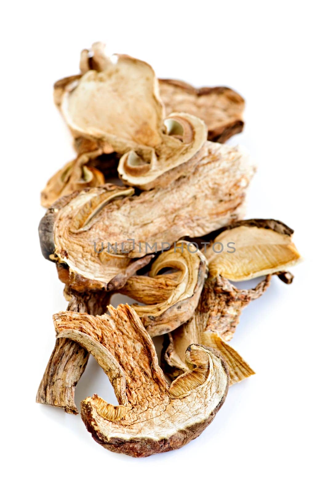 Dry porcini mushrooms