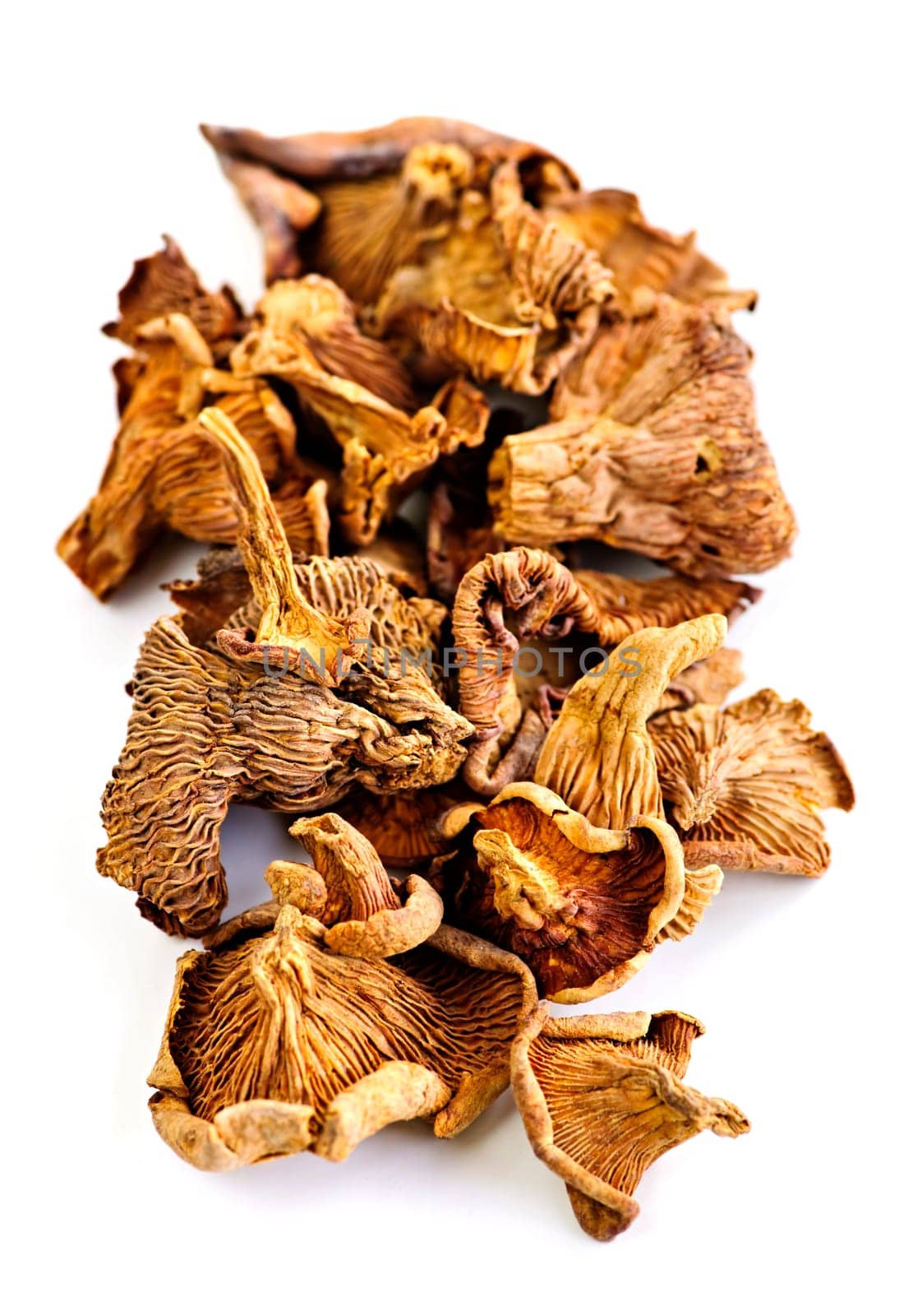 Dry chanterelle mushrooms