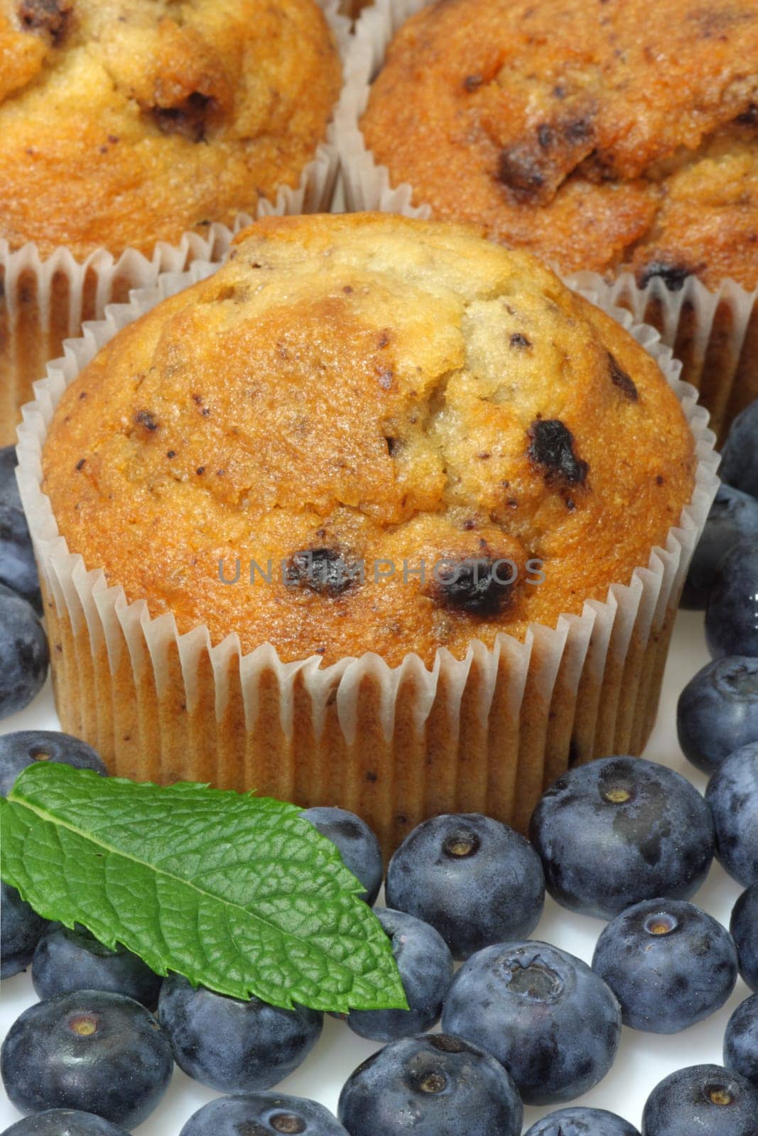 Blueberry Muffins