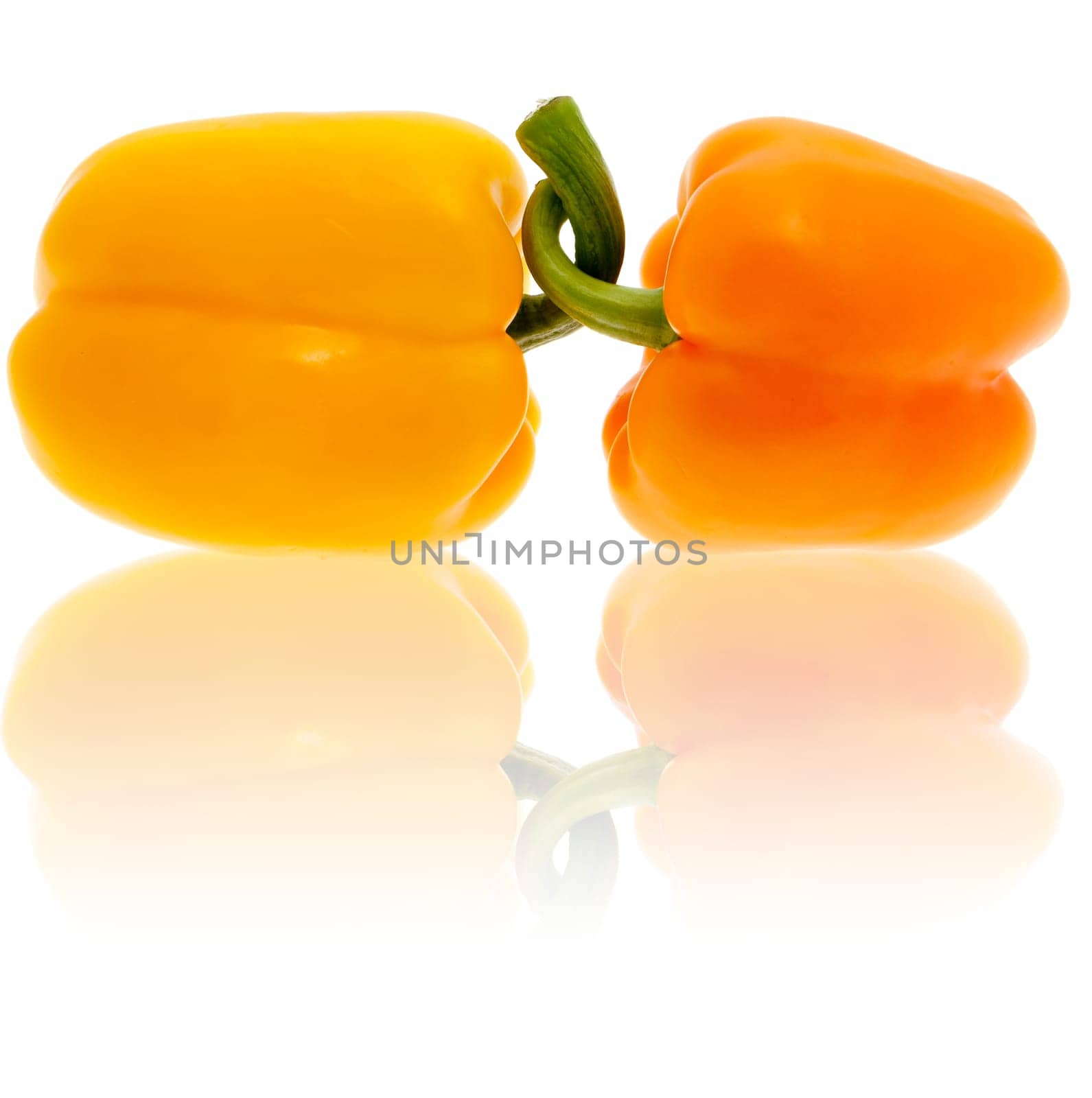 Paprika