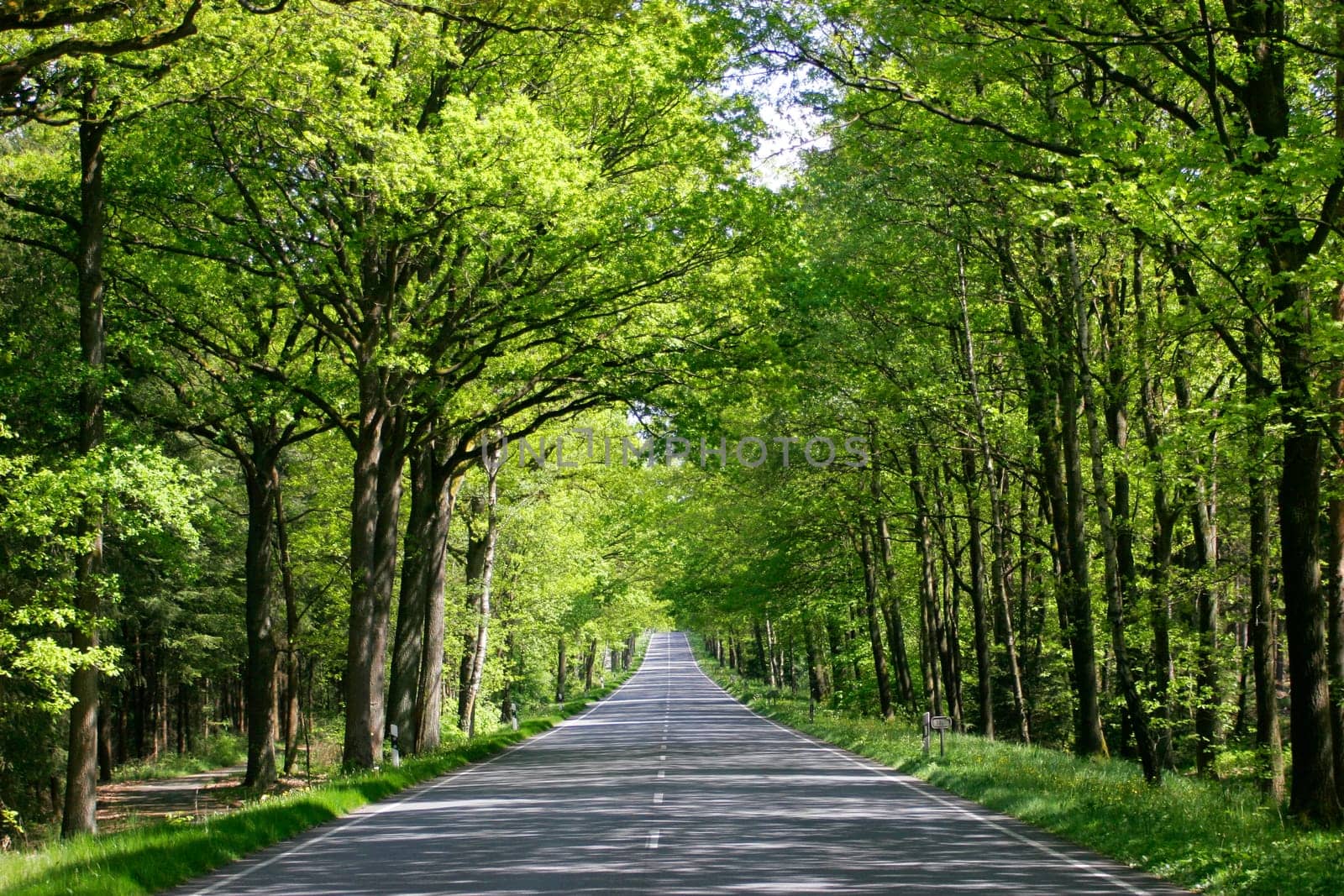Road - Free Way - No Traffic