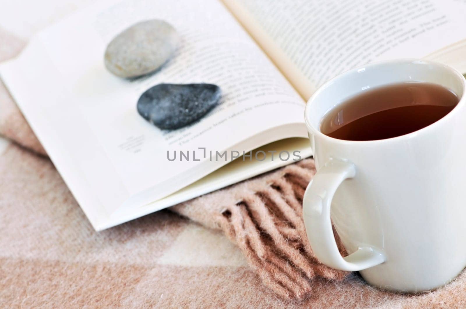 Relaxing reading with tea