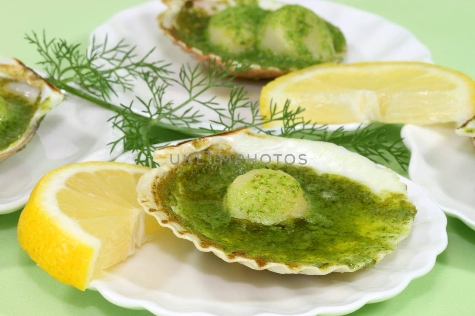 Scallops