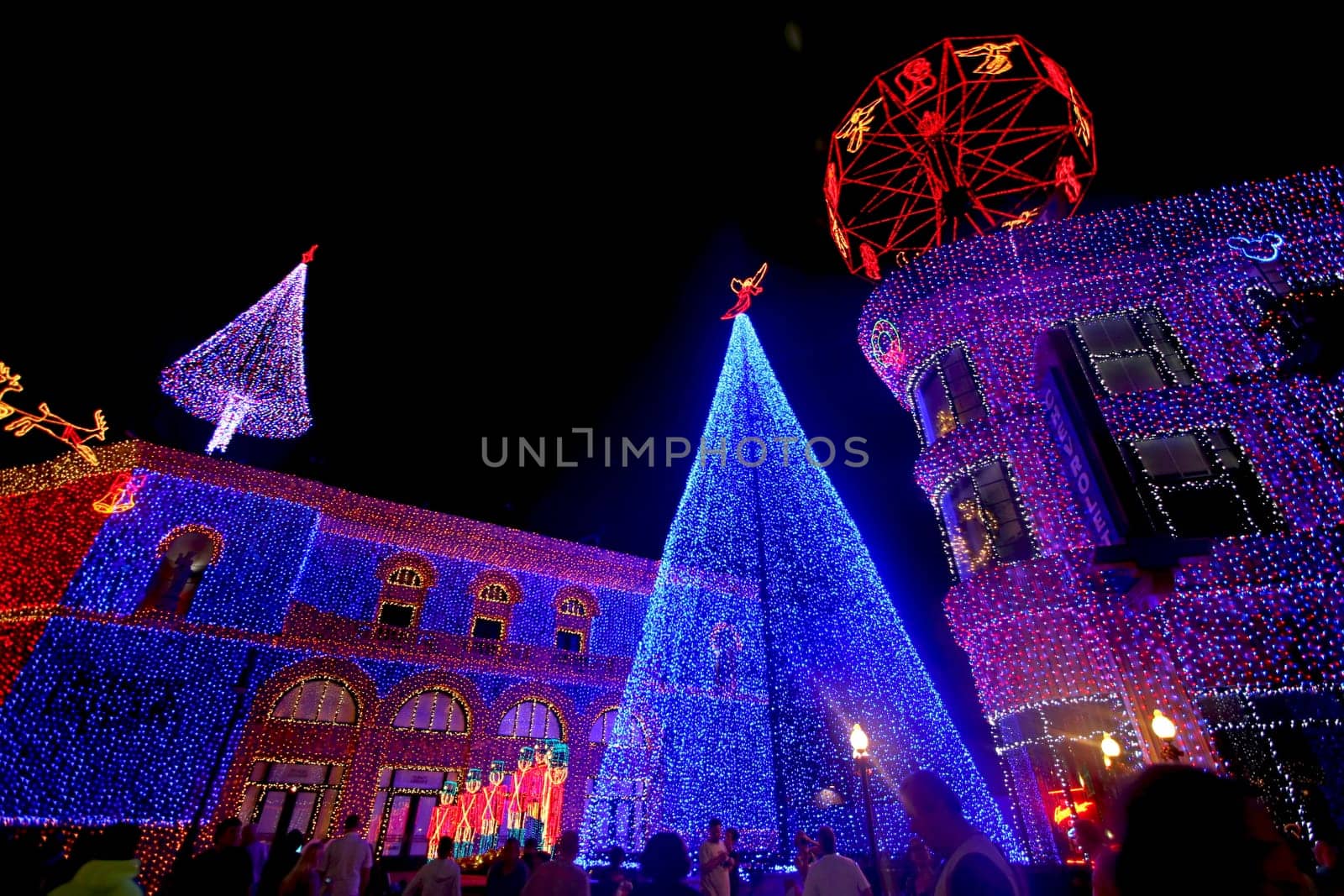 Christmas Lights
