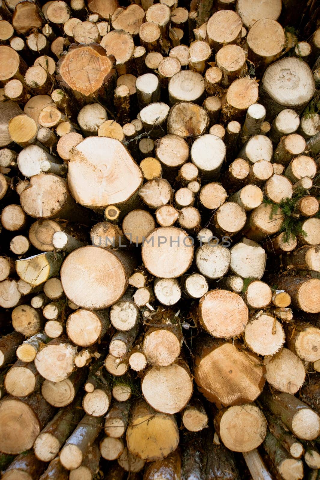 Logs storage