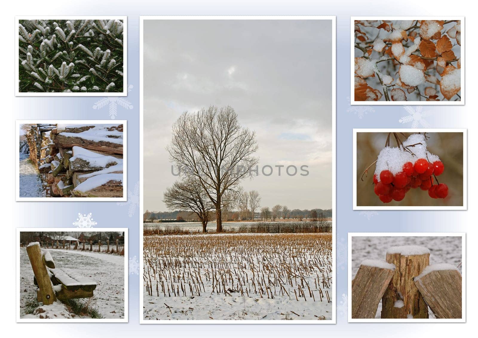 Winter walk