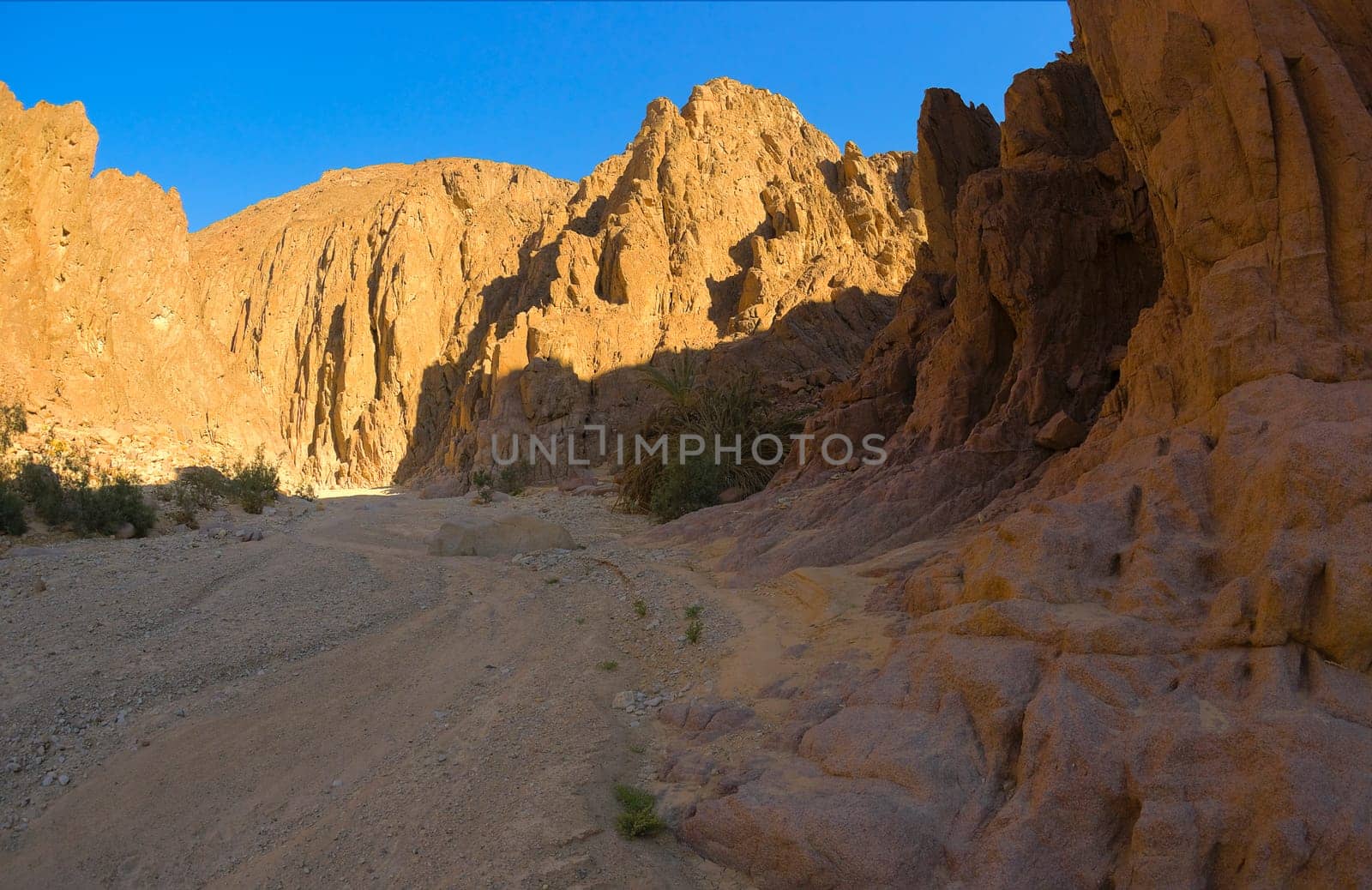Wadi el Ain