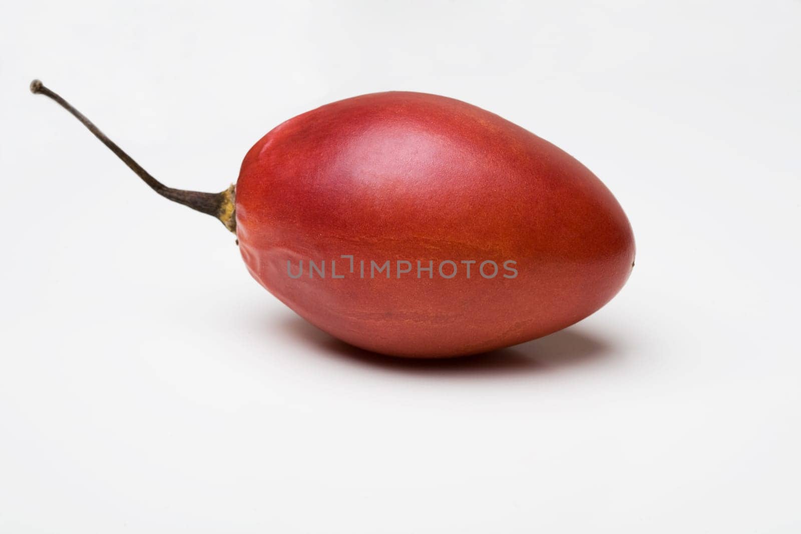 Tomarillo