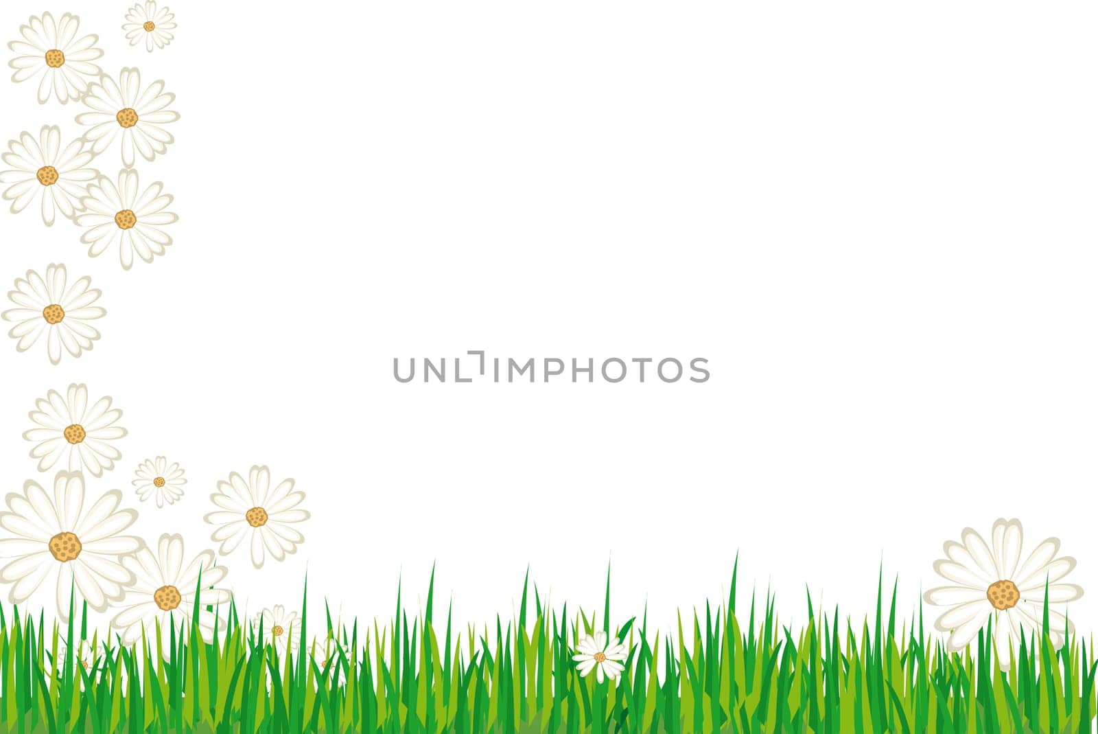 Spring Meadow Background Card