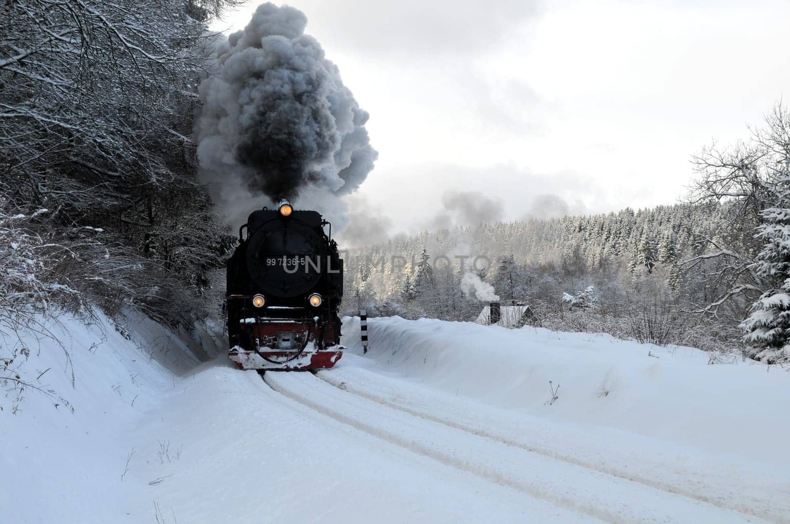 Harz Narrow Gauge Railway...