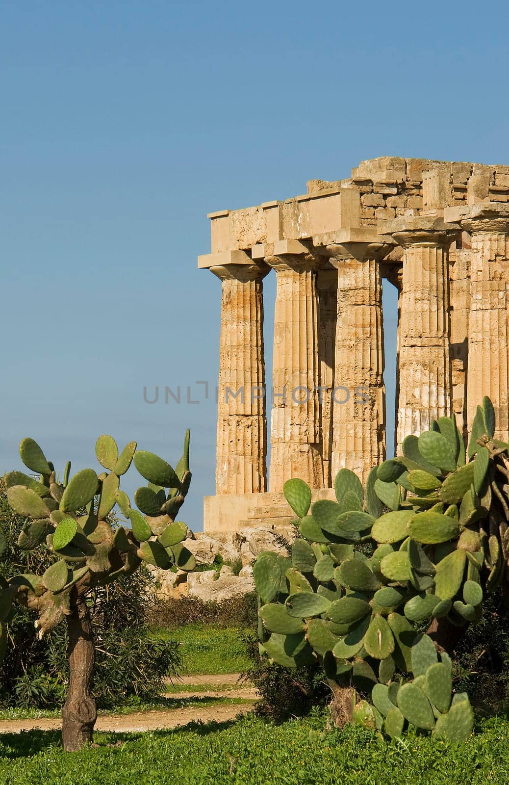 The Temple of Selinunte in Sicily