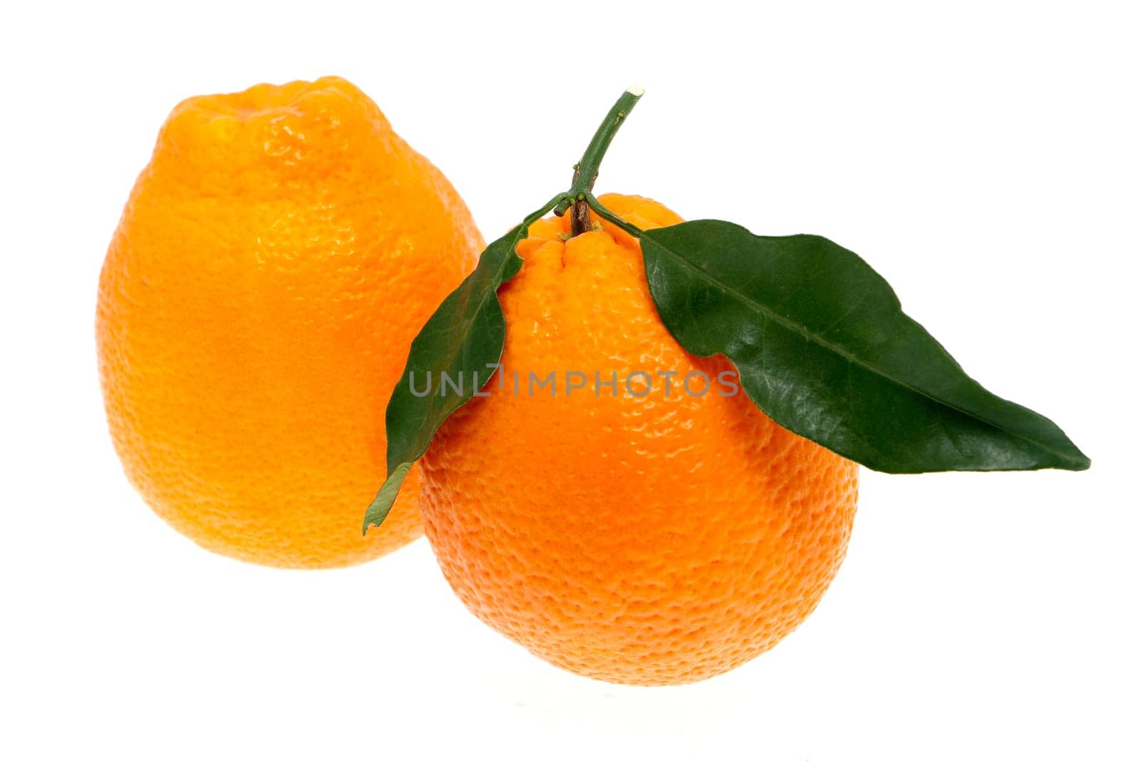 Orange with leaf