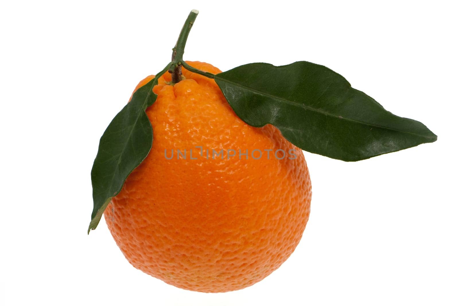 Orange with leaf