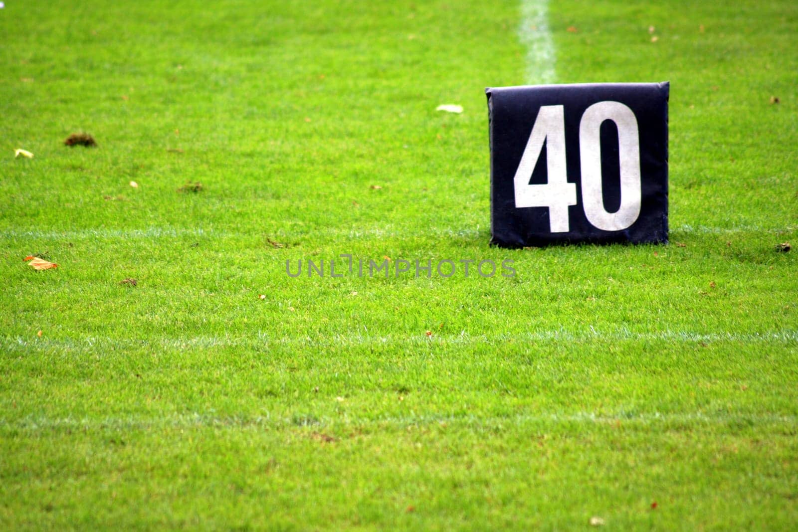 forty