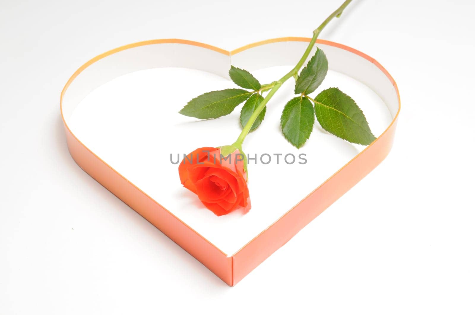 Rose and Heart