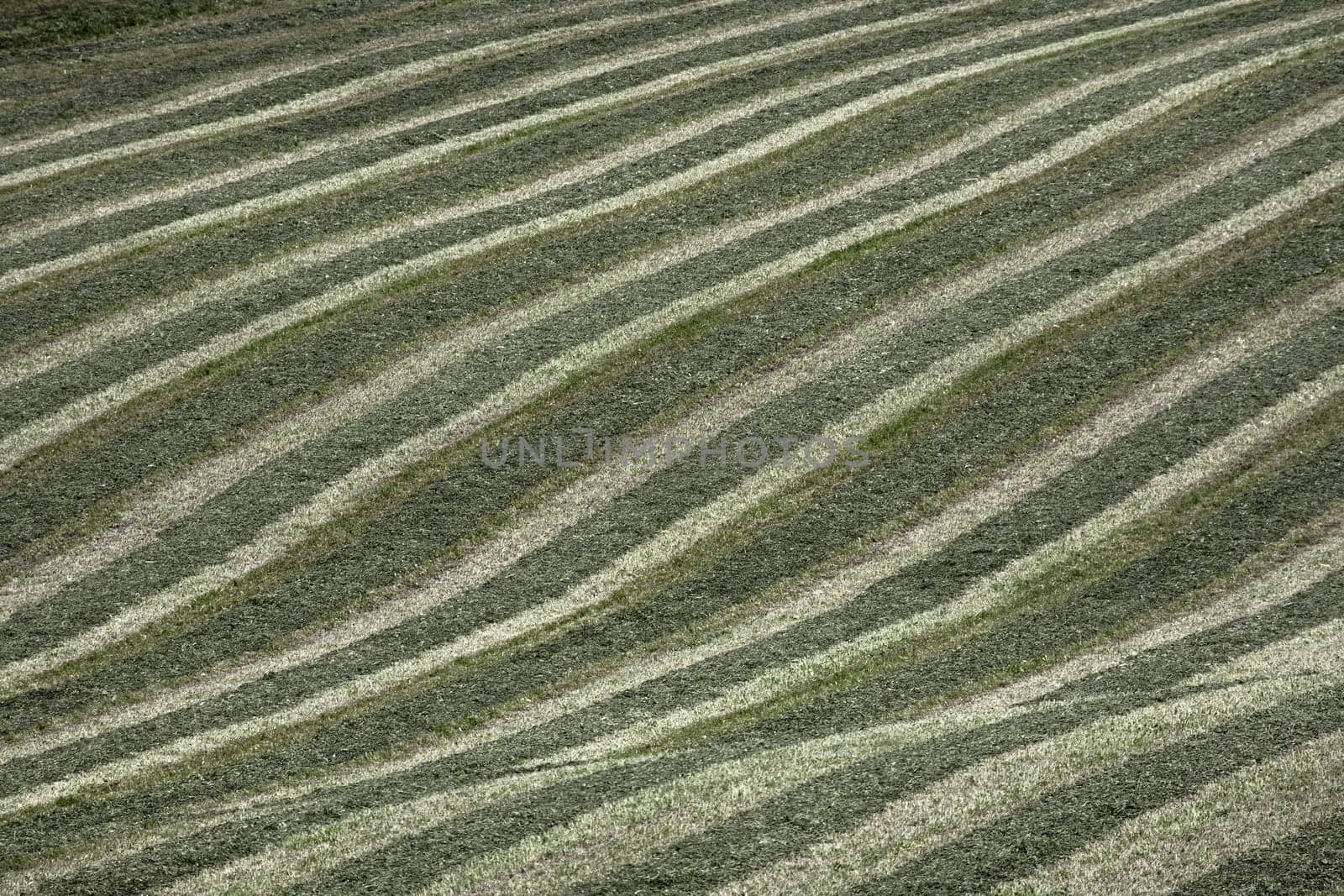 Agricultural Waveform