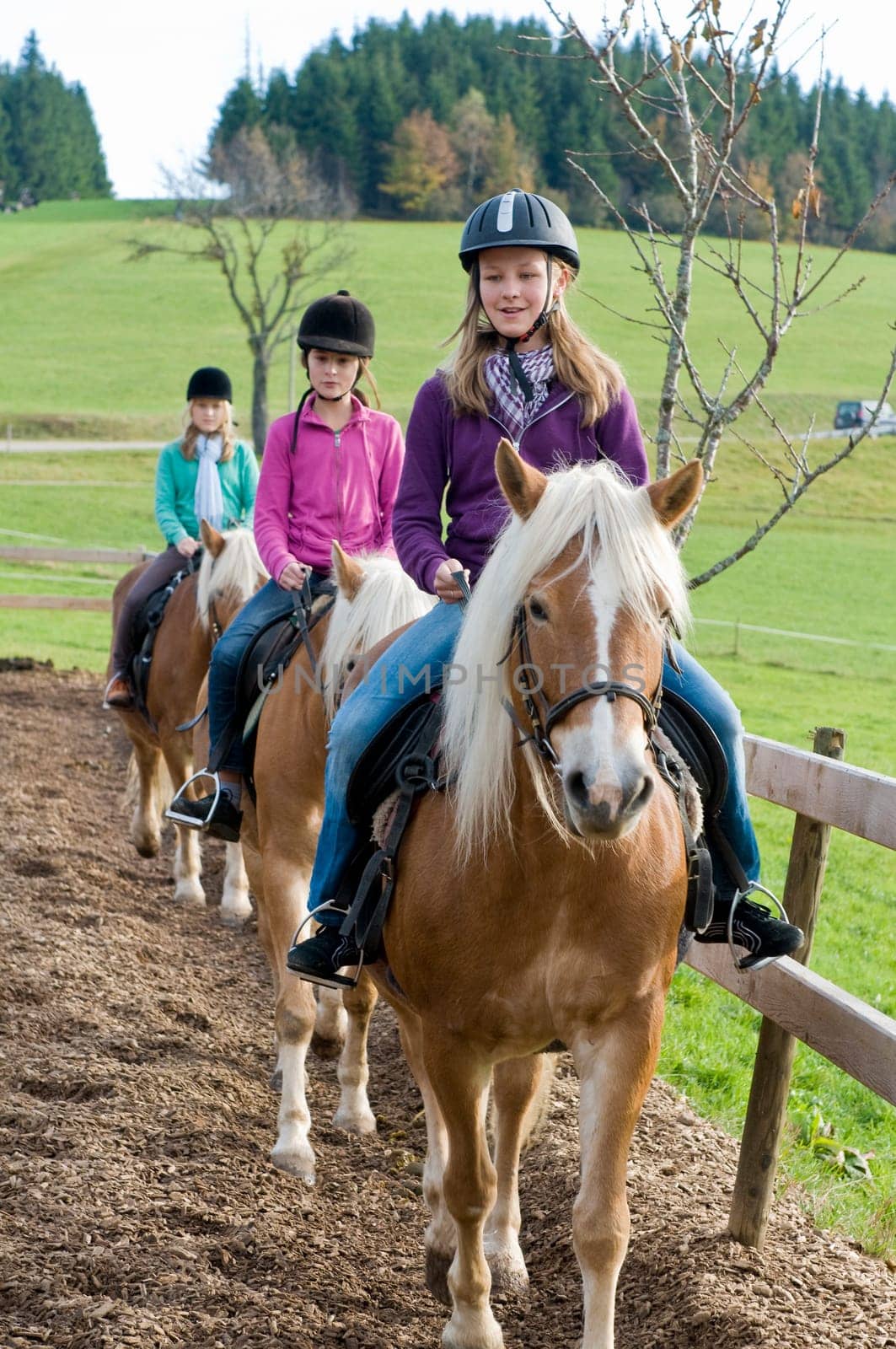 Horseback Riding1