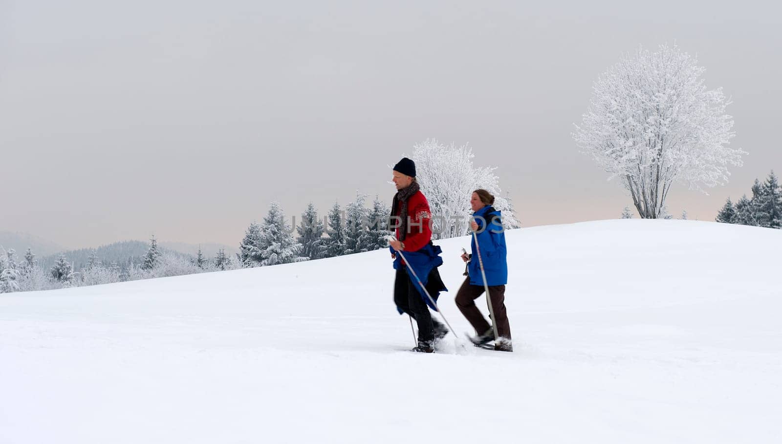 Winter walk