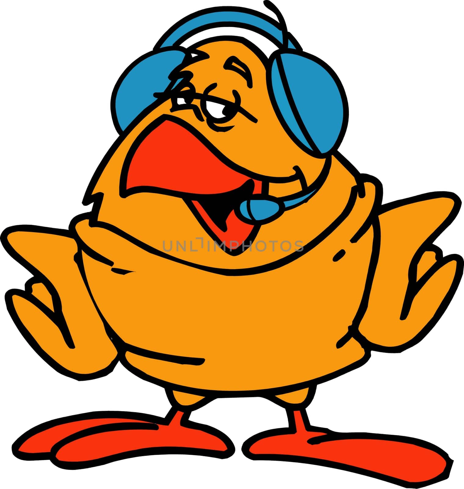 Funny bird