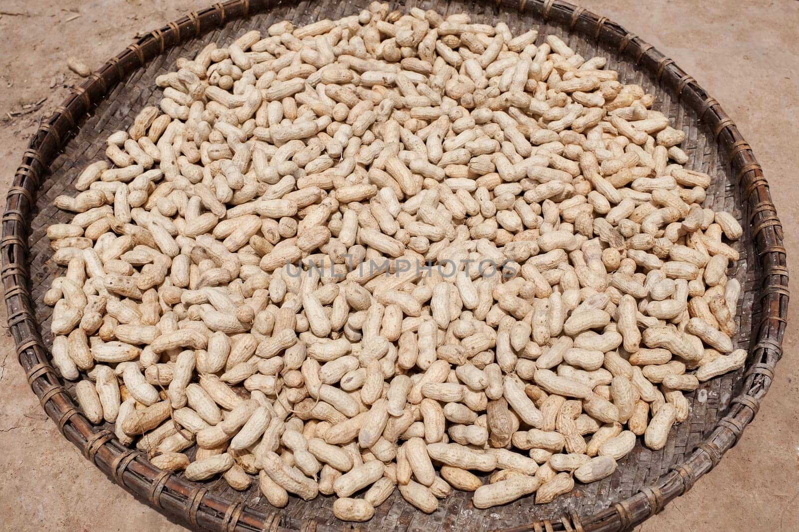 Peanuts