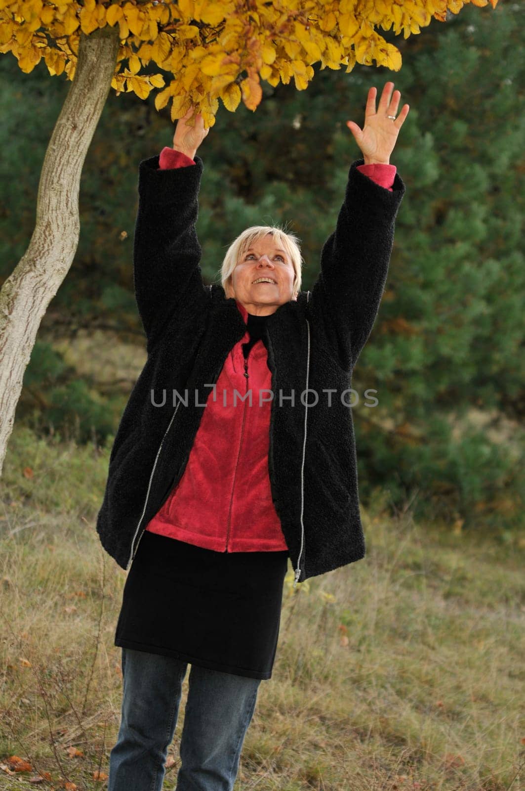 stretch to the leaves