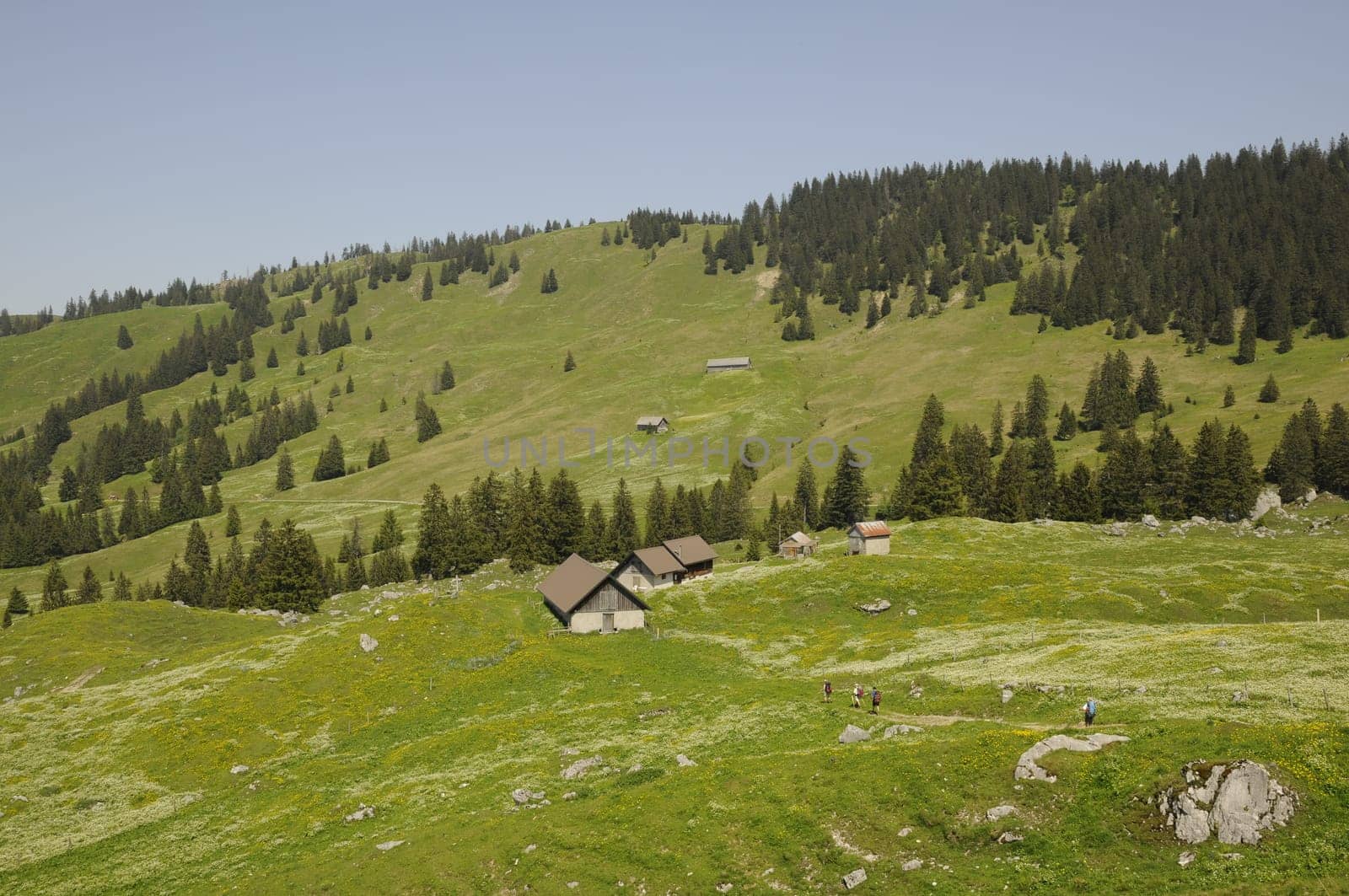 Hiking trail in the Schwyz Prealps