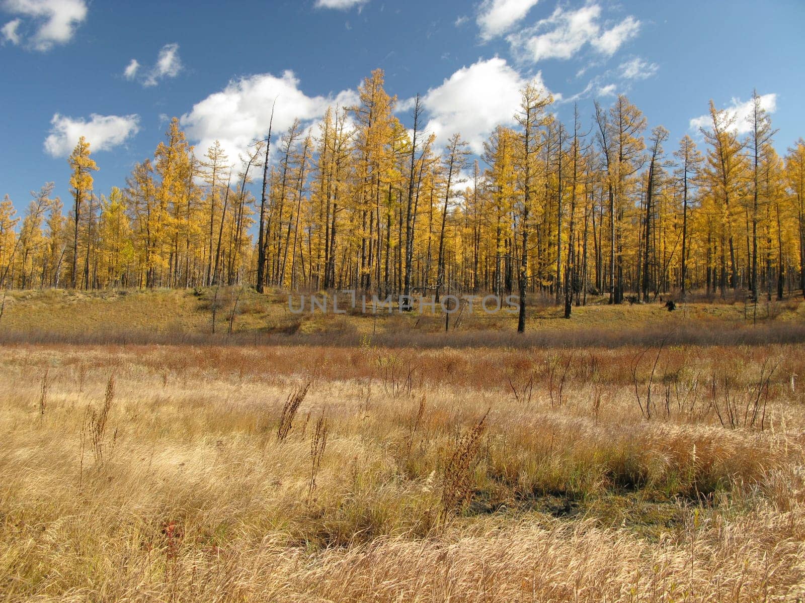 Mongolia