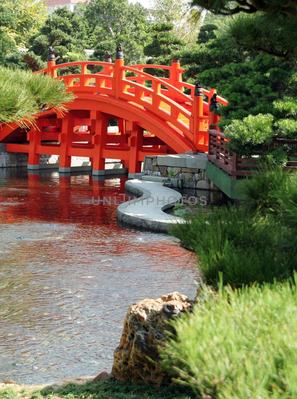 Arched bridge in a Chinese garden