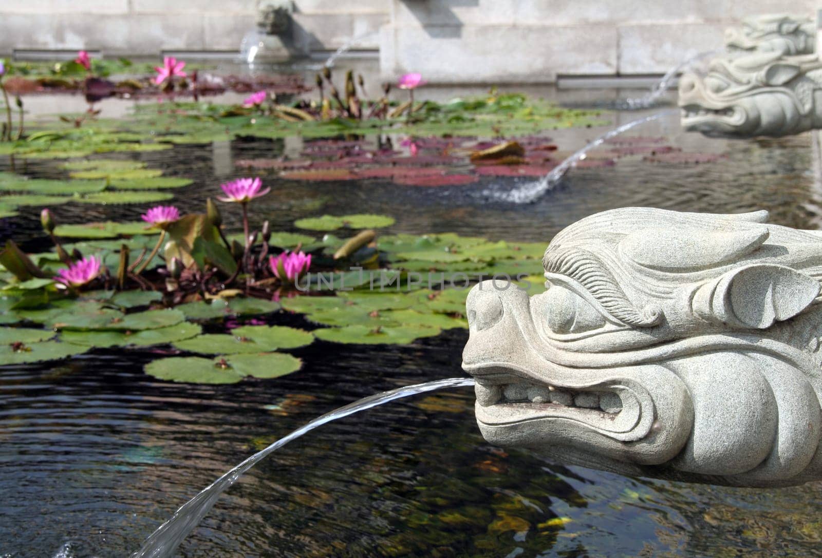 Dragon fountain and lotus pond