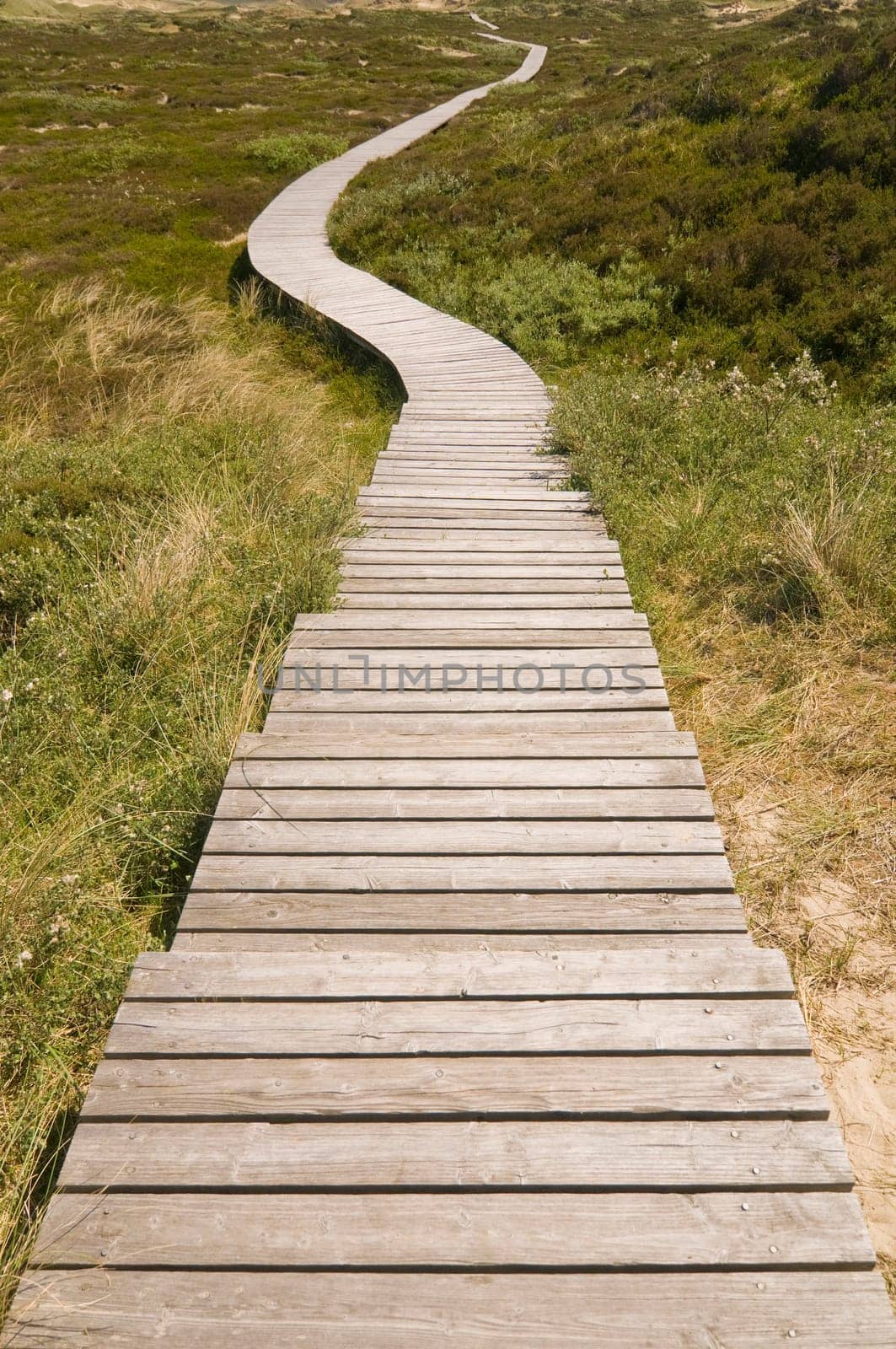 Corduroy road