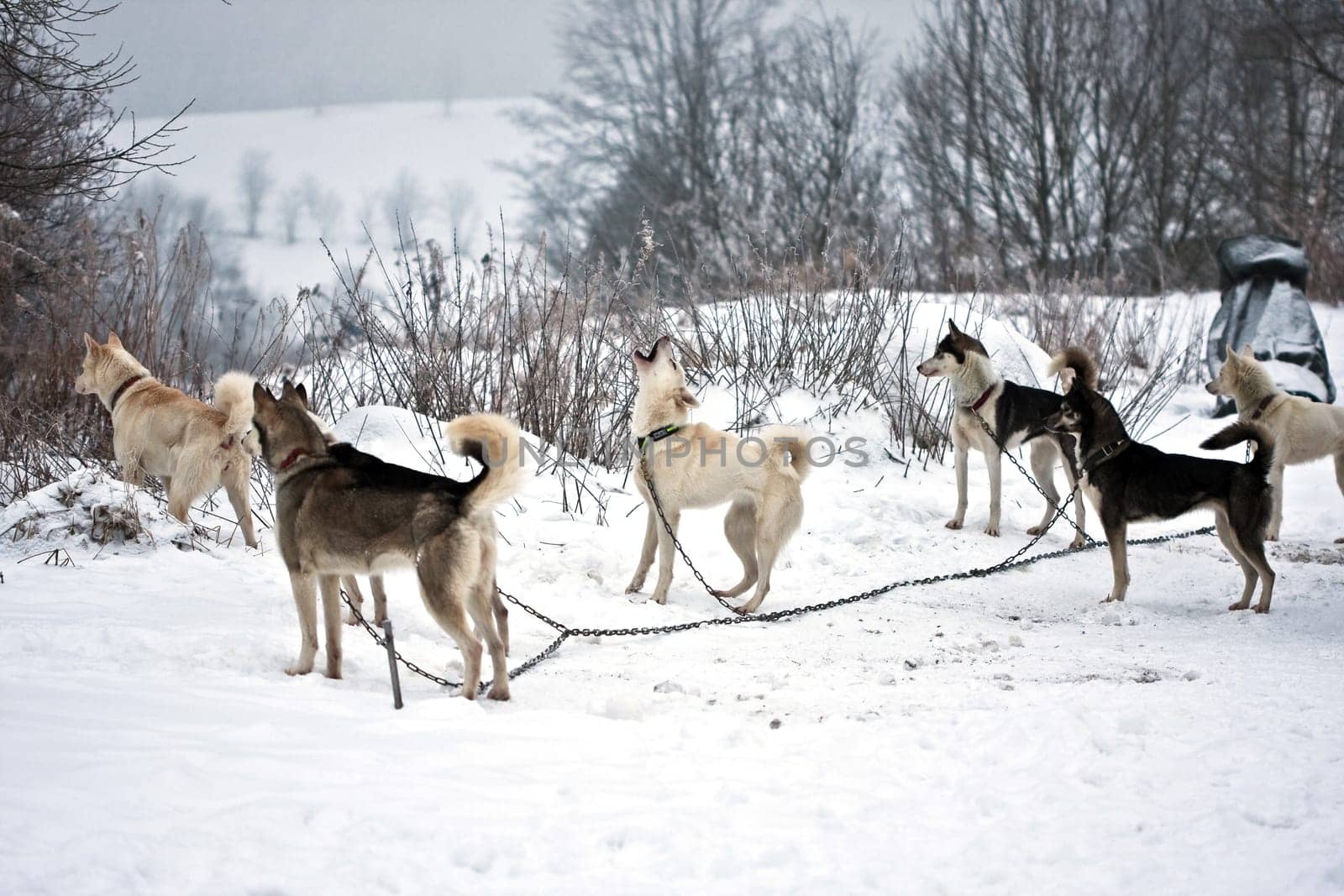 at the base camp..