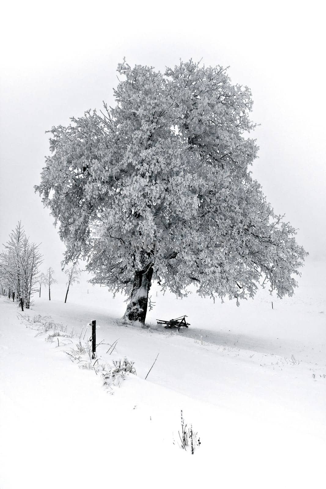 Wintertime
