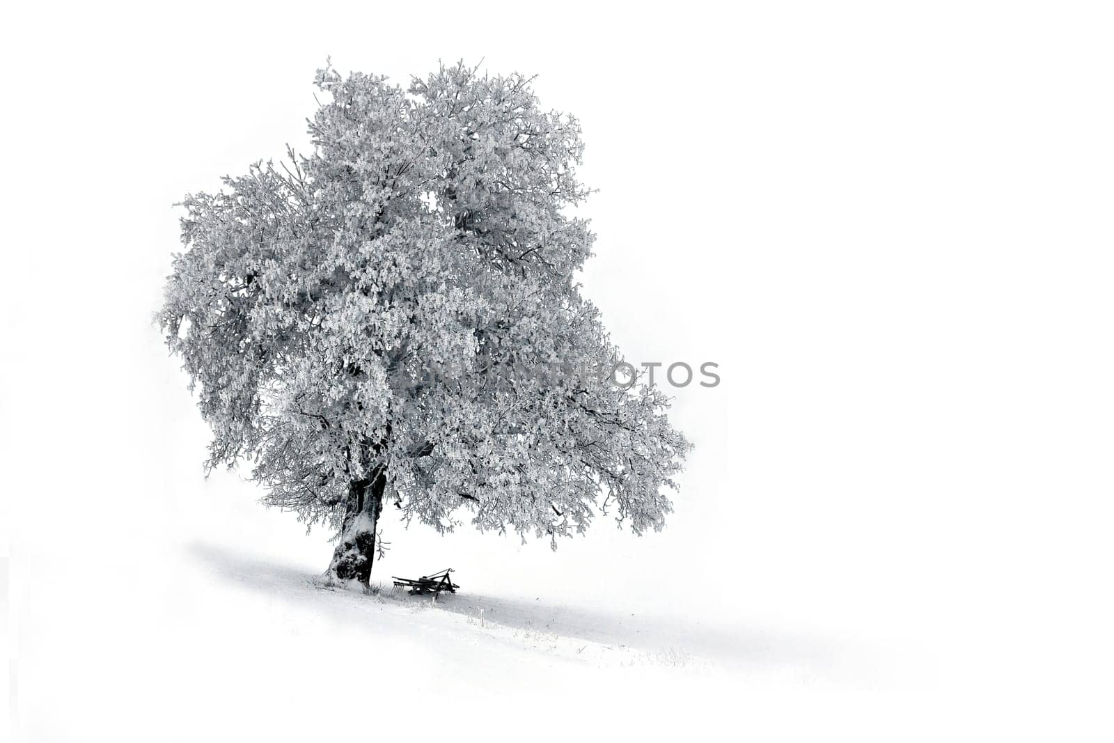 Wintertime........