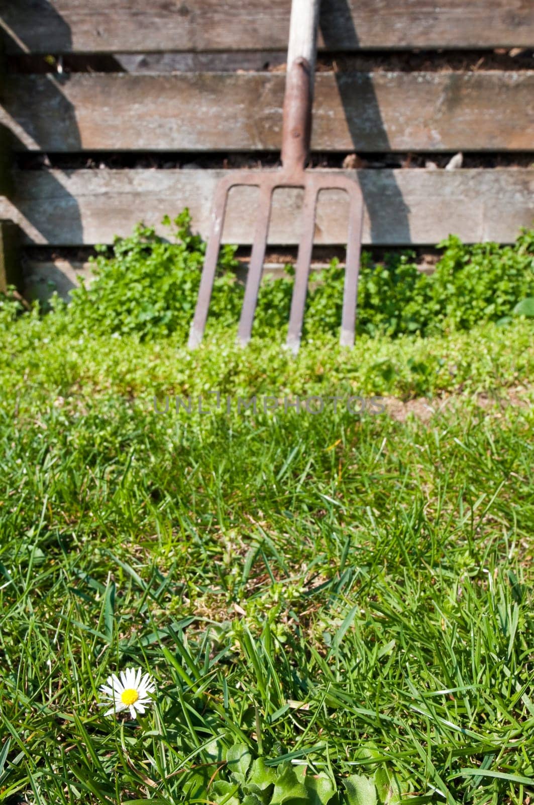 garden work