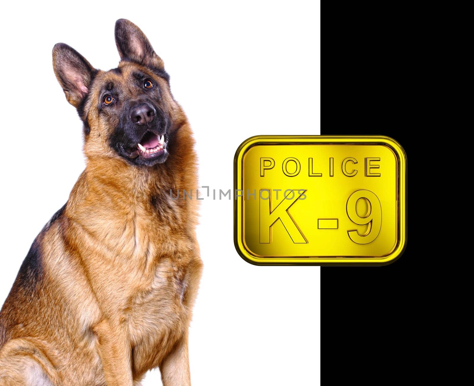 german shepard k9